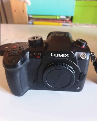 Lumix Gh5s m4/3  con speedbooster metabones 