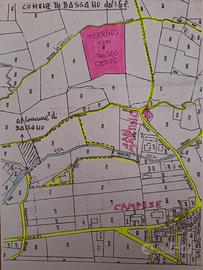 Bosco Ceduo con Terreno