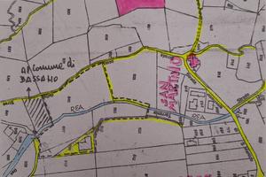 Bosco Ceduo con Terreno