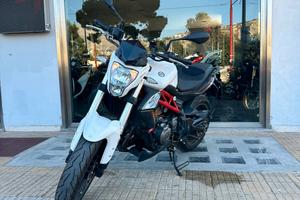 Benelli BN 302