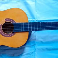 Chitarra acustica EKO