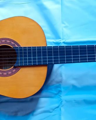 Chitarra acustica EKO