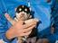 Immagine 1