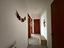 Immagine 14