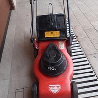 Taglia erba elettrico 