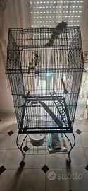 gabbia per uccelli 