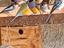 Immagine 2