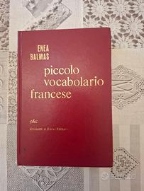 piccolo vocabolario francese