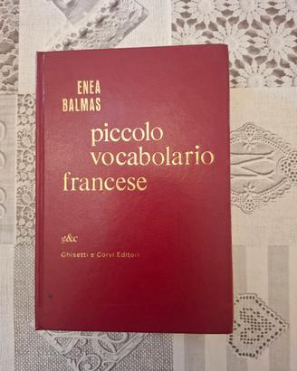 piccolo vocabolario francese