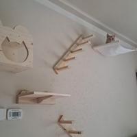 percorso gatti (chiedi per info e prezzi)