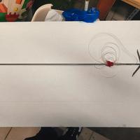 Asta fucili subacquei 