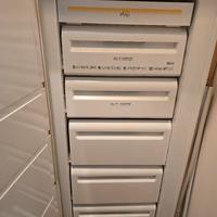 freezer verticale REX 