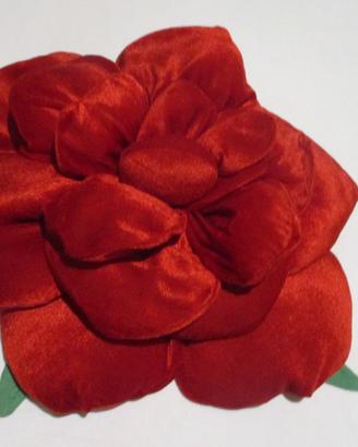 Cuscini arredamento.