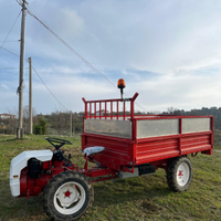 Motoagricola bertolini 310s