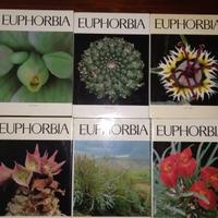 The Euphorbia journal - Collezione completa