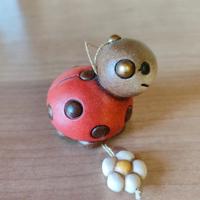 Coccinella Thun con fiore