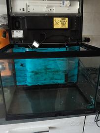 acquario 30 litri 