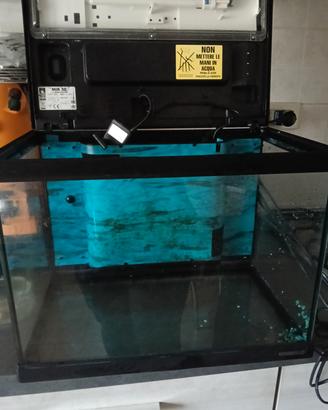 acquario 30 litri 