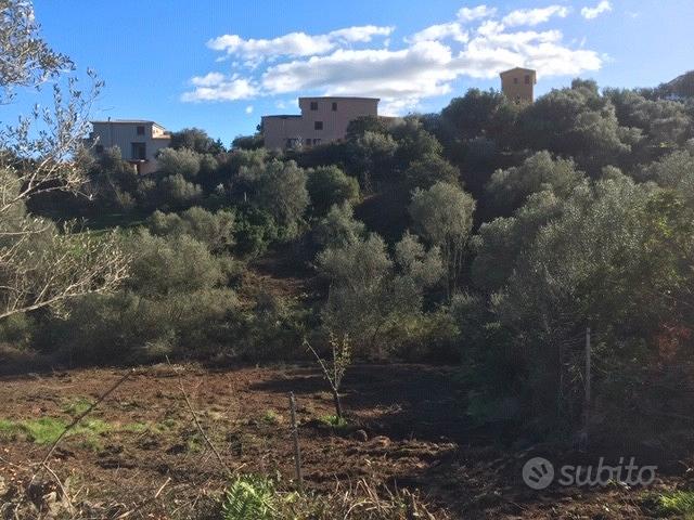 Terreno Agricolo | San Teodoro - Vista 5