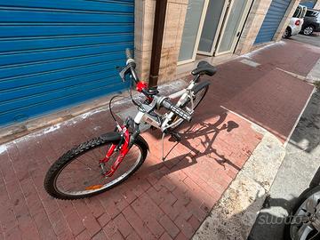 Bicicletta