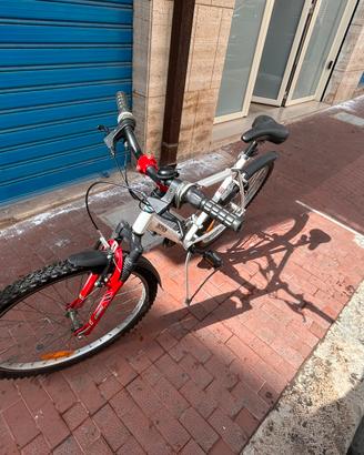 Bicicletta