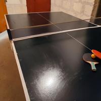 tavolo da ping pong