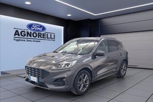 FORD Kuga 2.0 ecoblue ST-Line 2wd 120cv auto