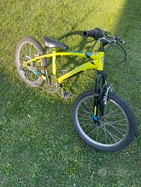 Bicicletta Bambino 20 pollici Olmo