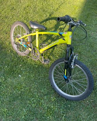 Bicicletta Bambino 20 pollici Olmo
