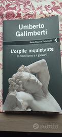 l'ospite inquietante 