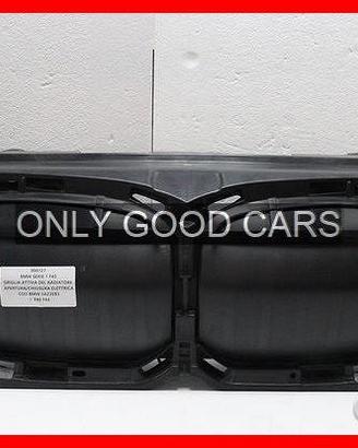 Griglia attiva radiatore bmw serie 1 f40 | 000127
