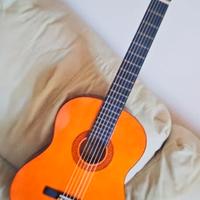 chitarra acustica Eko