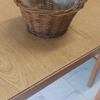 cestino in vimini per pianta 