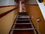 Immagine 12