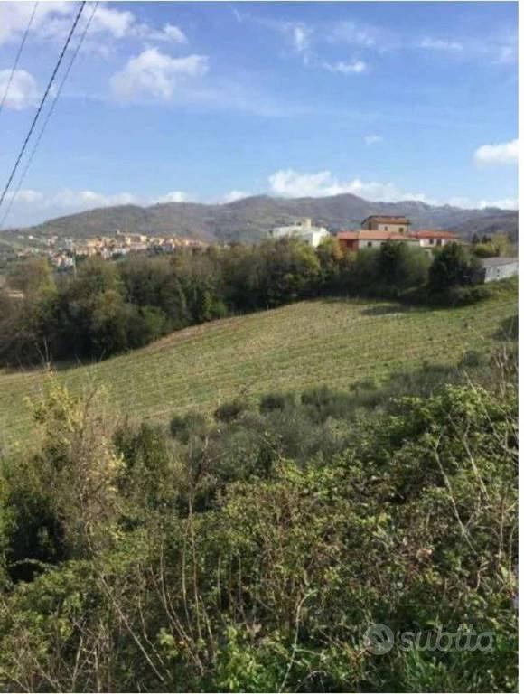 Immobile in asta di 22290 m² a Chianche - Vista 4