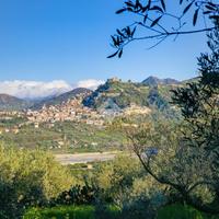 TER. AGRICOLO A BARCELLONA POZZO DI GOTTO