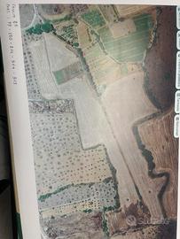 Terreno agricolo