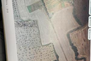 Terreno agricolo