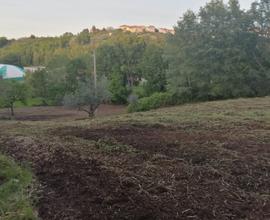 Terreno agricolo ed edificabile