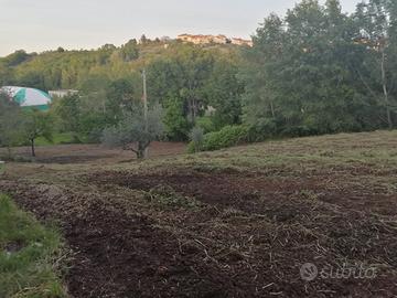 Terreno agricolo ed edificabile