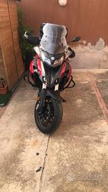 TRk 502 Benelli