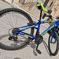 Mountain Bike Gfm Mercury 