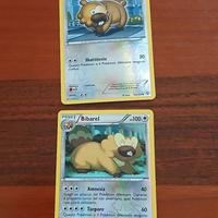 Carte Pokemon Bidoof e Bibarel