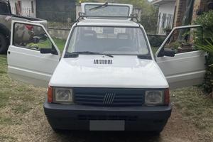 Fiat panda 1100 i.e cat young