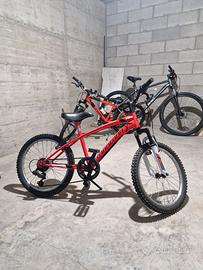 Bicicletta per bambino/bambina