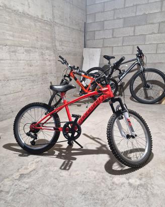 Bicicletta per bambino/bambina