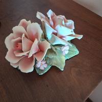 Rosa porcellana capodimonte