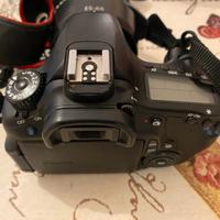 Reflex Canon 60d  + 50 mm stm