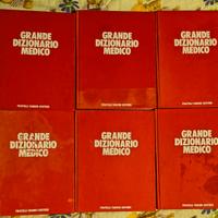 Grande Dizionario Medico