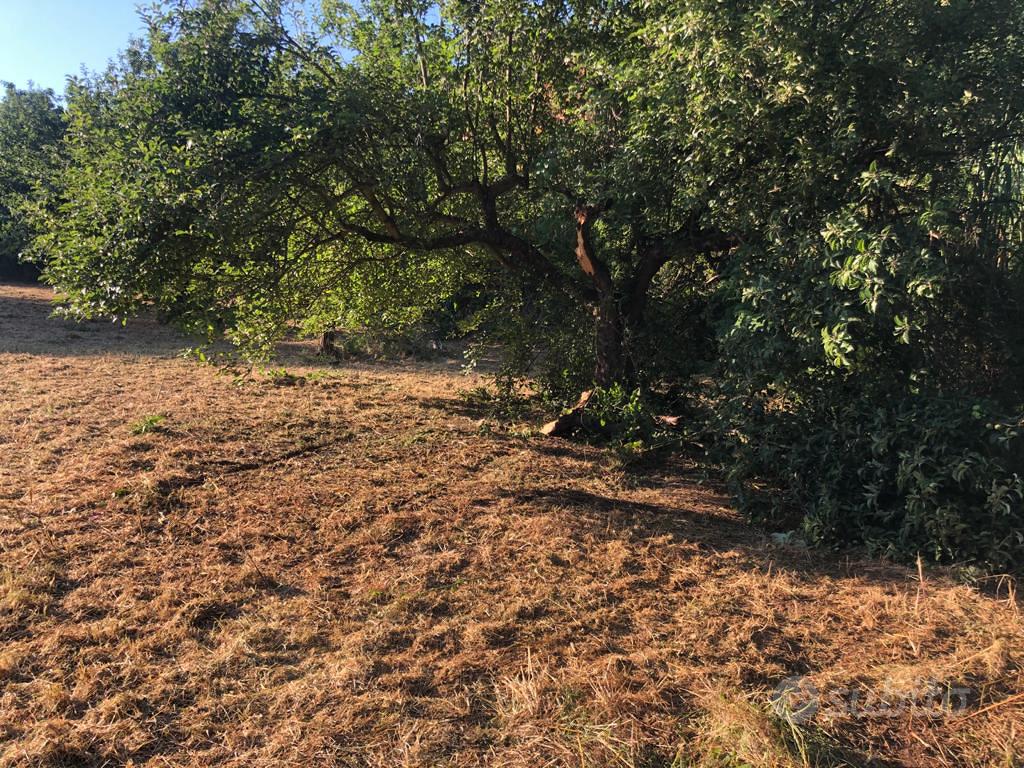 Terreno agricolo - Vista 4